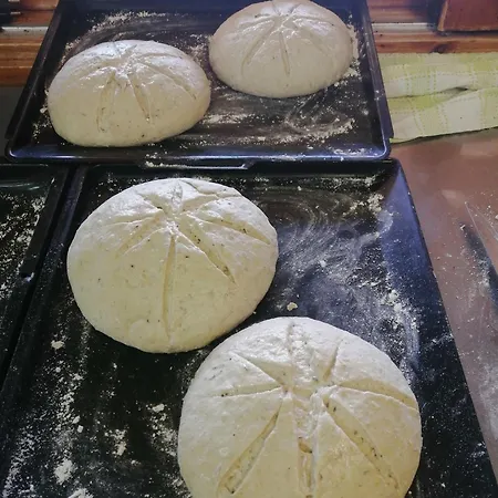 Kuenzer Alm * Matrei in Osttirol