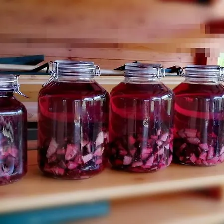 Kuenzer Alm Matrei in Osttirol